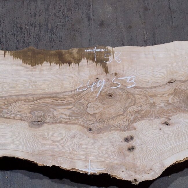 Olivesche Bohle, ca. 2400 x 590 x 45 mm, 13573