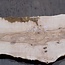 Olivesche Bohle, ca. 2400 x 590 x 45 mm, 13573