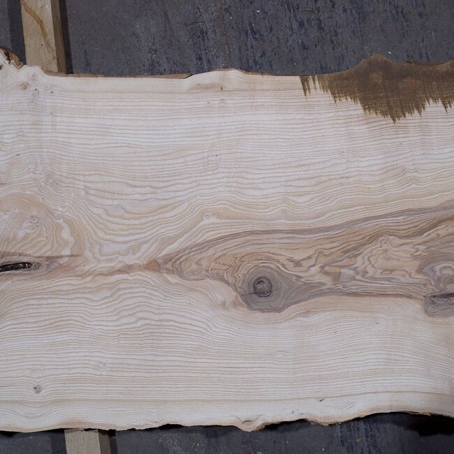 Olivesche Bohle, ca. 2400 x 590 x 45 mm, 13573