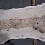 Olivesche Bohle, ca. 2400 x 590 x 45 mm, 13573