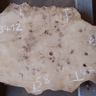 Pappel Maser Tischplatte, ca. 840 x 580/470 x 65mm