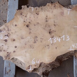 Pappel Maser Tischplatte, ca. 830 x 640/420 x 65mm