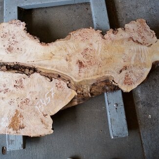 Grisard, Silberpappel, Tischplatte, ca. 1300 x 830 x 55mm, 13457