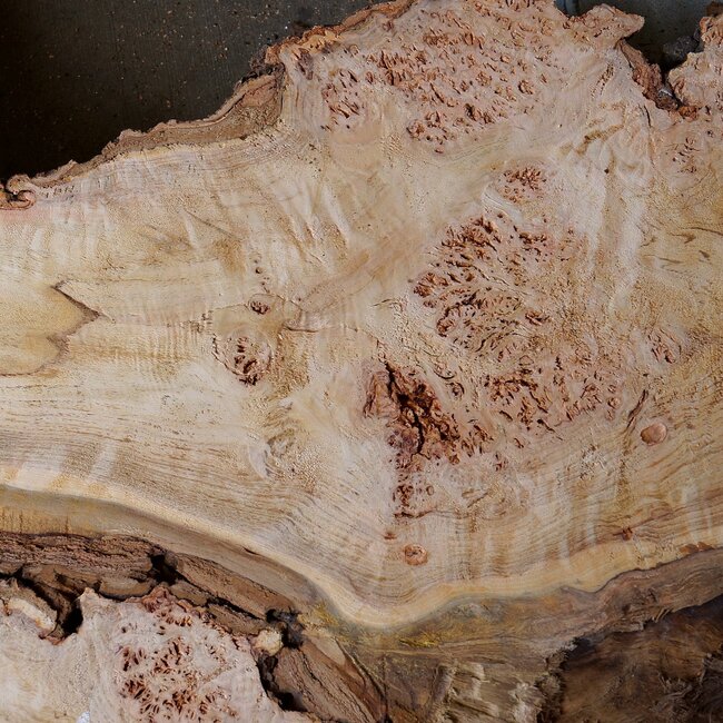 Grisard, Silberpappel, Tischplatte, ca. 1300 x 830 x 55mm, 27kg