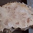 Mappa burl, approx. 1800 x 220/470/410 x 52mm