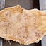 Pappel Maser Tischplatte, ca. 1800 x 220/470/410 x 52mm