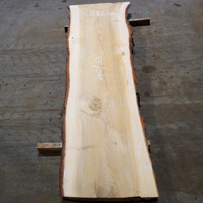 Lebanon Cedar table top, approx. 2400 x 720/620/550 x 75 mm, 13353