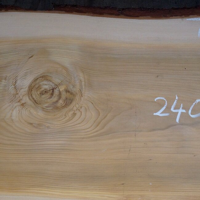 Libanon Zeder Tischplatte, ca. 2400 x 720/620/550 x 75 mm, 13353