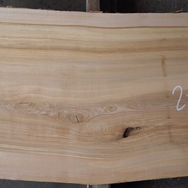 Olivesche, Tischplatte, ca. 2150 x 680 x 58 mm, 13260