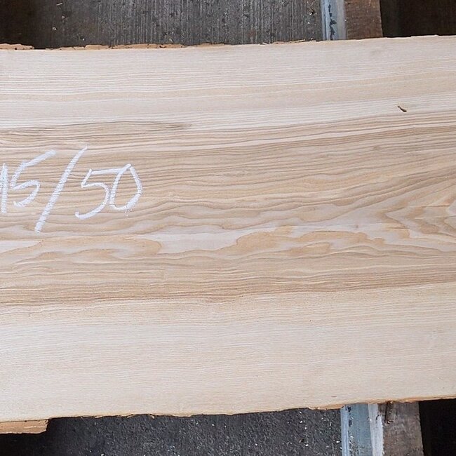 Olive ash, table top, approx. 2150 x 500 x 58 mm, 13263