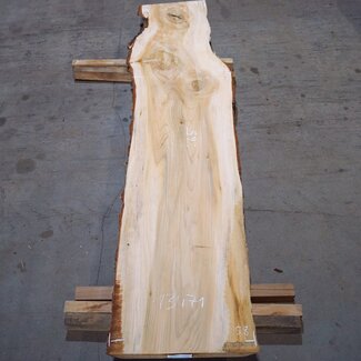 Lebanon Cedar table top, approx. 2650 x 620/580/490 x 60 mm, 13471