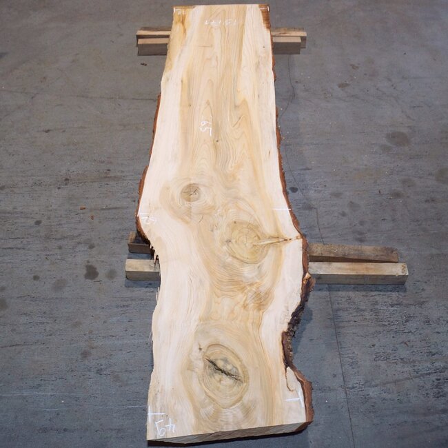 Lebanon Cedar table top, approx. 2650 x 620/580/490 x 60 mm, 13471