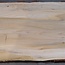 Libanon Zeder Tischplatte, ca. 2650 x 620/580/490 x 60 mm, 13471