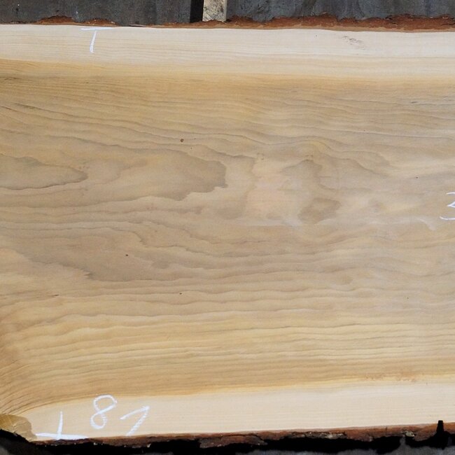 Lebanon Cedar table top, approx. 3000 x 810/810/740 x 50 mm, 13349