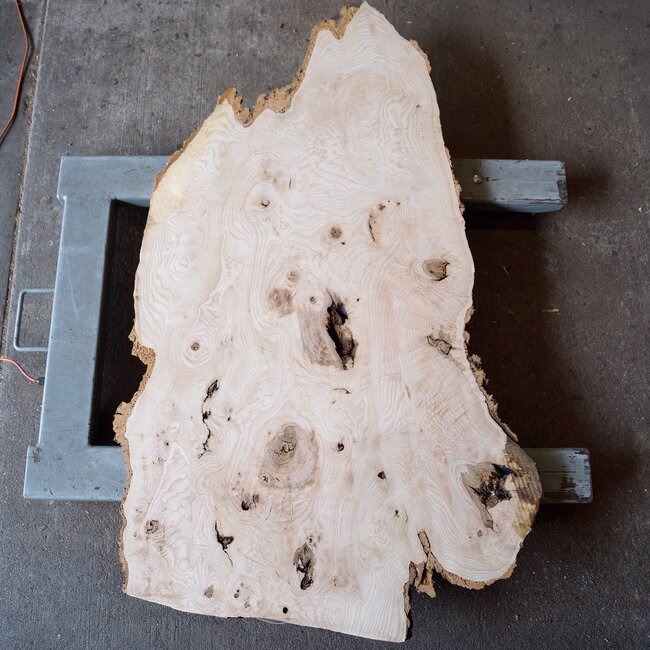 Esche Maser, ca. 1200 x 600/800 x 55 mm, 13185