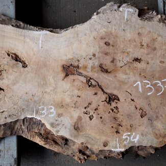 Pappel Maser Tischplatte, ca. 890 x 330/540 x 55mm