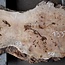 Pappel Maser Tischplatte, ca. 890 x 330/540 x 55mm