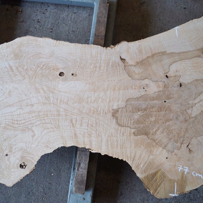 Esche Maser, ca. 2280 x 830/450/770 x 70 mm, 13253