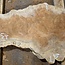 Amboina Maser, ca. 1040 x 450 x 40 mm, 9,6kg