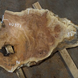 Amboina Maser, ca. 870 x 760 x 52 mm, 19,9kg, 40951