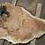 Amboina burl, approx. 870 x 760 x 52mm, 19,9kg