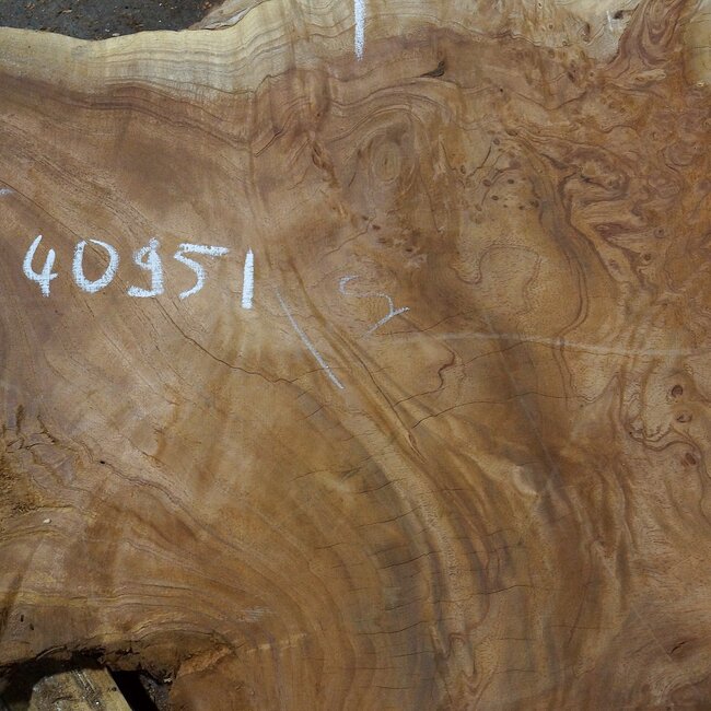 Amboina Maser, ca. 870 x 760 x 52 mm, 19,9kg