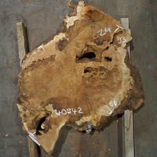 Amboina Maser, ca. 930 x 640 x 55 mm, 21,7kg, 40942