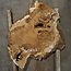 Amboina Maser, ca. 930 x 640 x 55 mm, 21,7kg