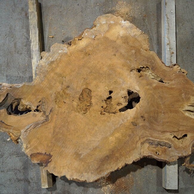 Amboina Maser, ca. 930 x 640 x 55 mm, 21,7kg