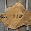 Amboina burl, approx. 930 x 640 x 55mm, 21,7kg