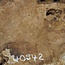 Amboina Maser, ca. 930 x 640 x 55 mm, 21,7kg