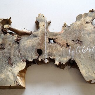 Buckeye burl slab, approx. 1380 x 280/380/510 x 52 mm, 10,9 kg