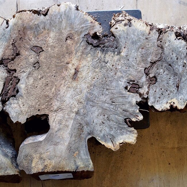 Buckeye Maser, ca. 1010 x 550 x 52mm, 7,4kg