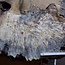 Buckeye burl slab, approx. 1470 x 640 x 52mm, 14,3kg