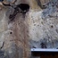 Buckeye burl slab, approx. 1470 x 640 x 52mm, 14,3kg