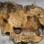Buckeye Maser, ca. 890 x 550 x 55 mm, 8,53 kg, 41008