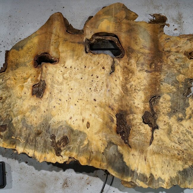 Buckeye Maser, ca. 890 x 550 x 55 mm, 8,53 kg, 41008