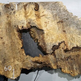 Buckeye burl slab, approx. 1320 x 600 x 55 mm, 11,75 kg, 40980