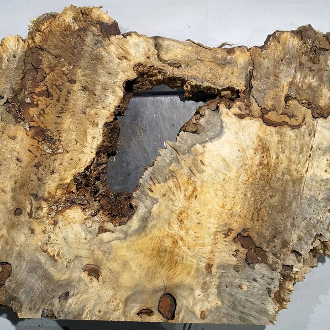 Buckeye Maser, ca. 1320 x 600 x 55 mm, 11,75 kg, 40980
