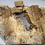 Buckeye Maser, ca. 1330 x 540 x 55 mm, 11,97 kg, 40982