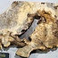 Buckeye Maser, ca. 1330 x 540 x 55 mm, 11,97 kg, 40982