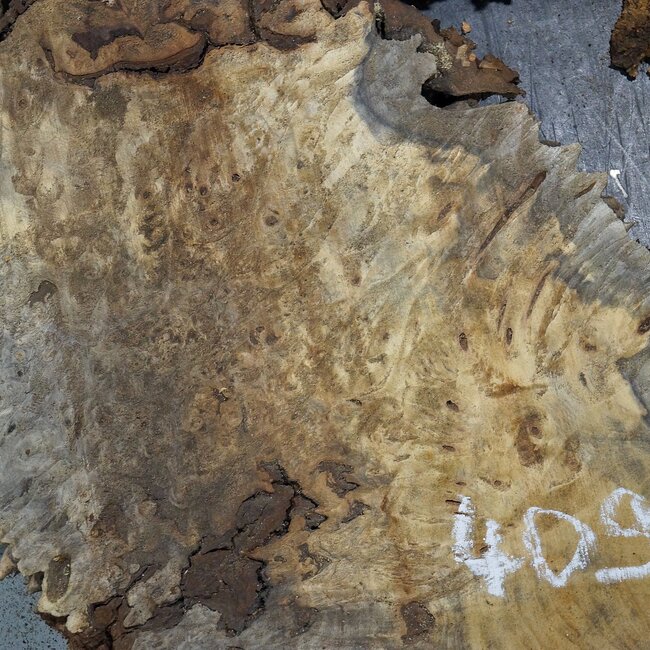Buckeye Maser, ca. 1330 x 540 x 55 mm, 11,97 kg, 40982