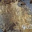 Buckeye Maser, ca. 1330 x 540 x 55 mm, 11,97 kg, 40982