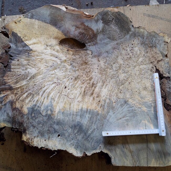 Buckeye Maser, ca. 730 x 540 x 52mm, 9,4kg