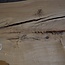 Mooreiche Tischplatte, ca. 2800 x 800/680/590 x 40-50 mm, 13355