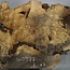 Buckeye burl slab, approx. 1000 x 670 x 55 mm, 13,02 kg, 40977