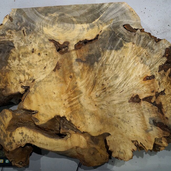Buckeye Maser, ca. 1000 x 670 x 55 mm, 13,02 kg, 40977