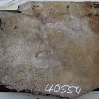 Laurel, burl slab, approx. 850 x 580 x 65 mm, 40554