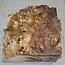 Pappel Maser, ca. 210 x 210 x 50-150mm, 2,0kg