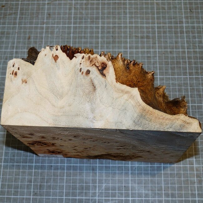Pappel Maser, ca. 210 x 210 x 50-150mm, 2,0kg
